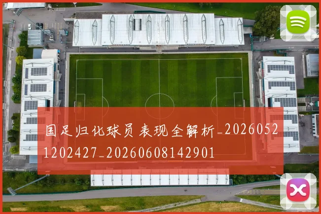 国足归化球员表现全解析_20260521202427_20260608142901