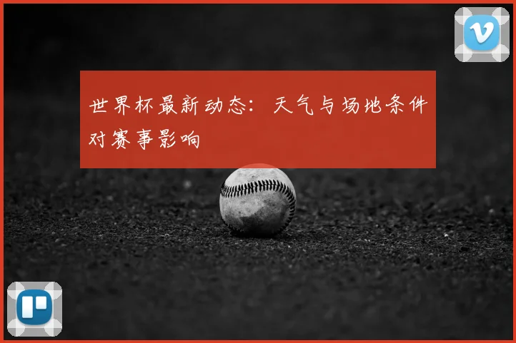世界杯最新动态：天气与场地条件对赛事影响